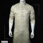 Premium Panjabi P4029