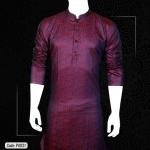 Premium Panjabi P4031