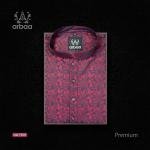 Premium Panjabi P4033