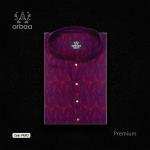 Premium Panjabi P4043