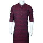 Premium Panjabi P4043